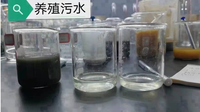 陽離子聚丙烯酰胺有何特性及作用？